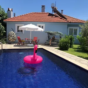 https://villa-misli-heart-of-dalyan-and-newly-renovated.aegeanhotels.net